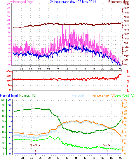 Daily graph