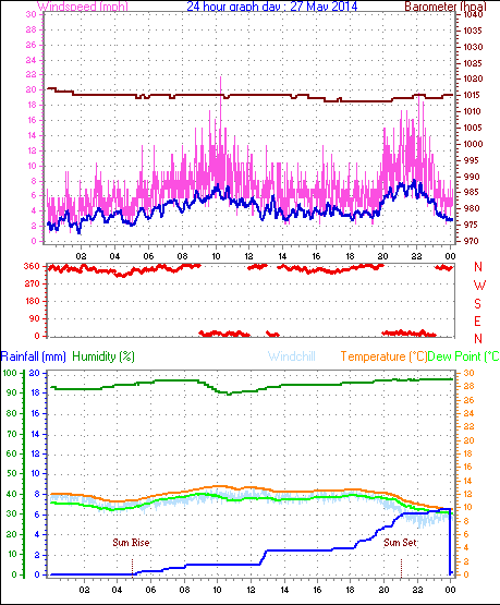 Daily graph