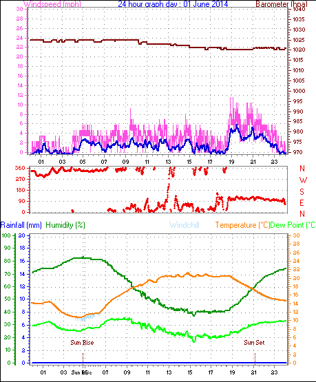 Daily graph