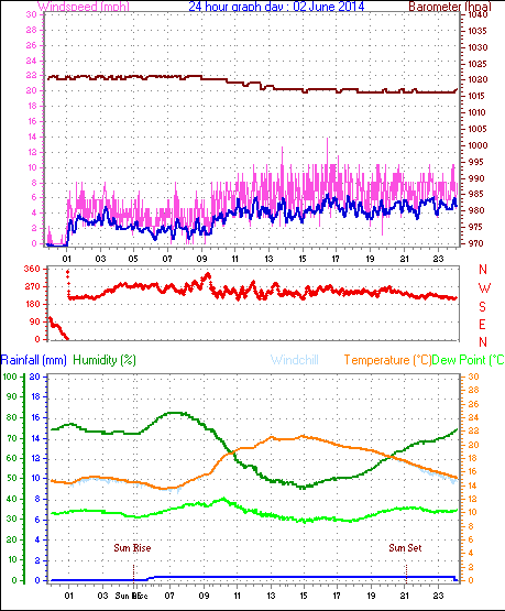 Daily graph