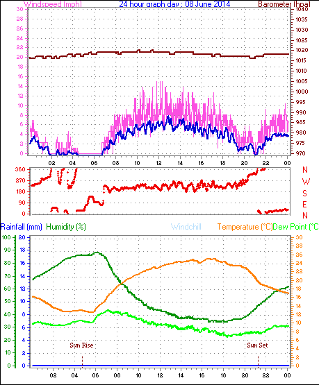 Daily graph