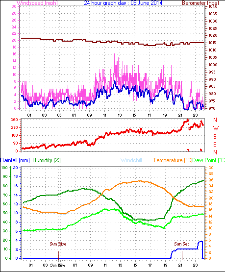 Daily graph