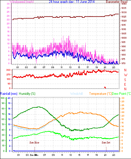 Daily graph