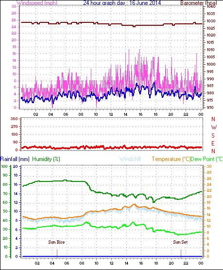 Daily graph