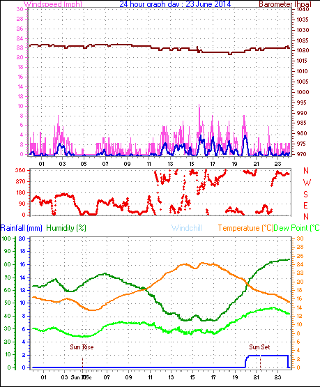 Daily graph