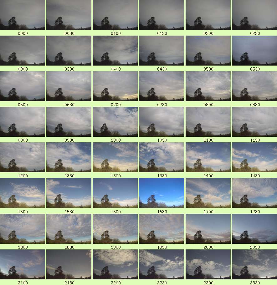 daycamsum