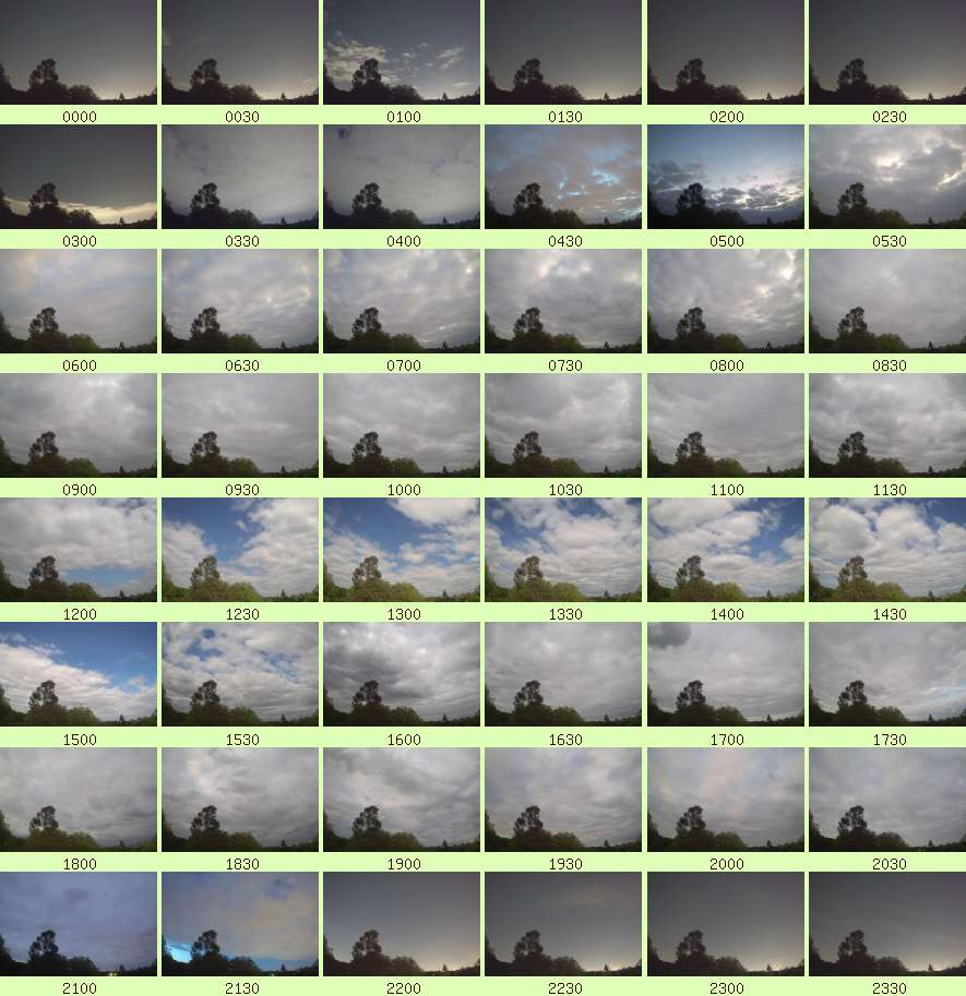 daycamsum