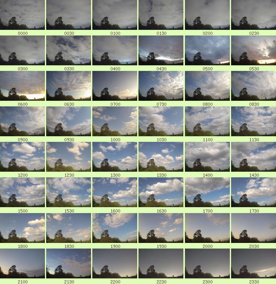 daycamsum