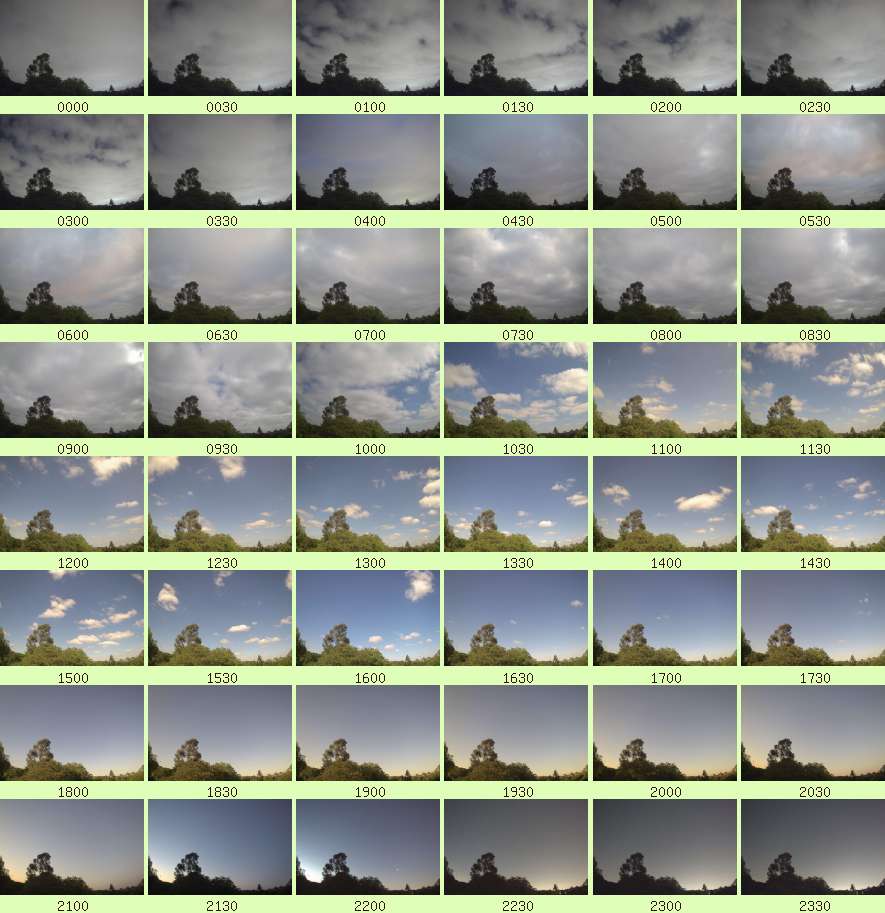 daycamsum