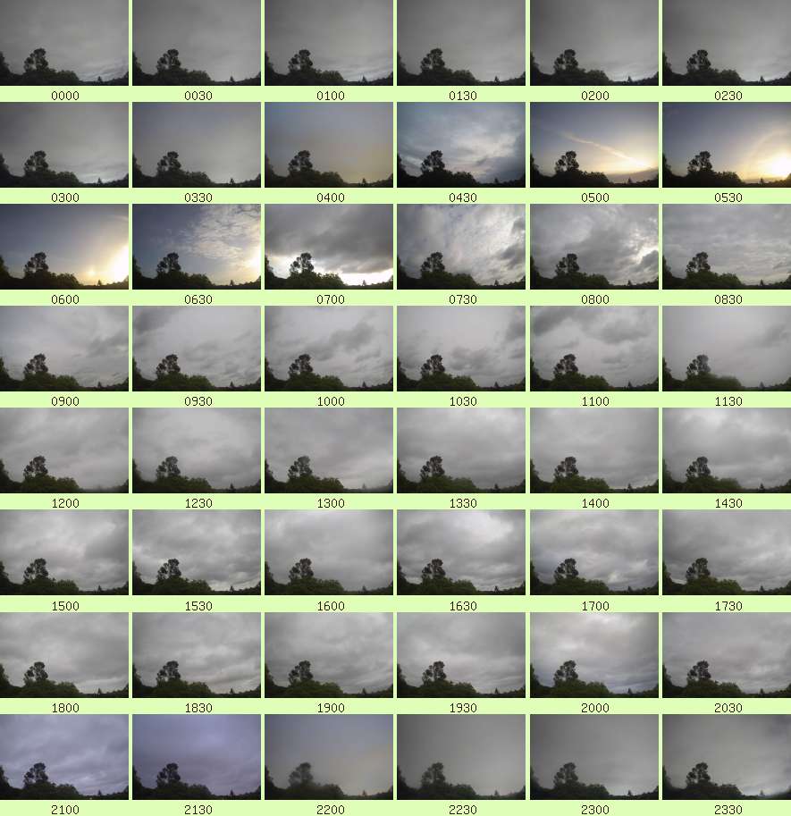 daycamsum