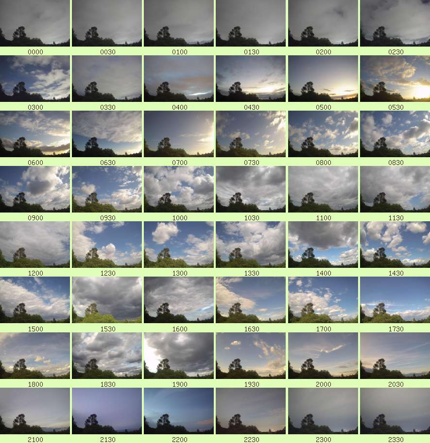 daycamsum