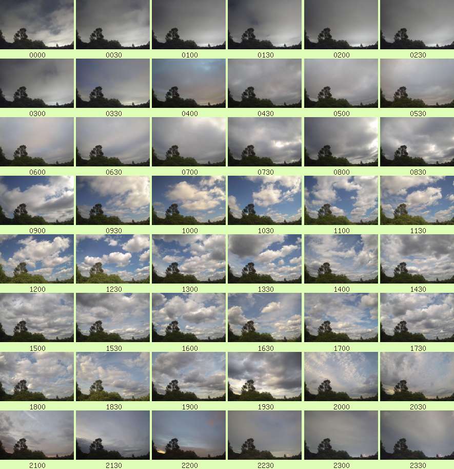 daycamsum