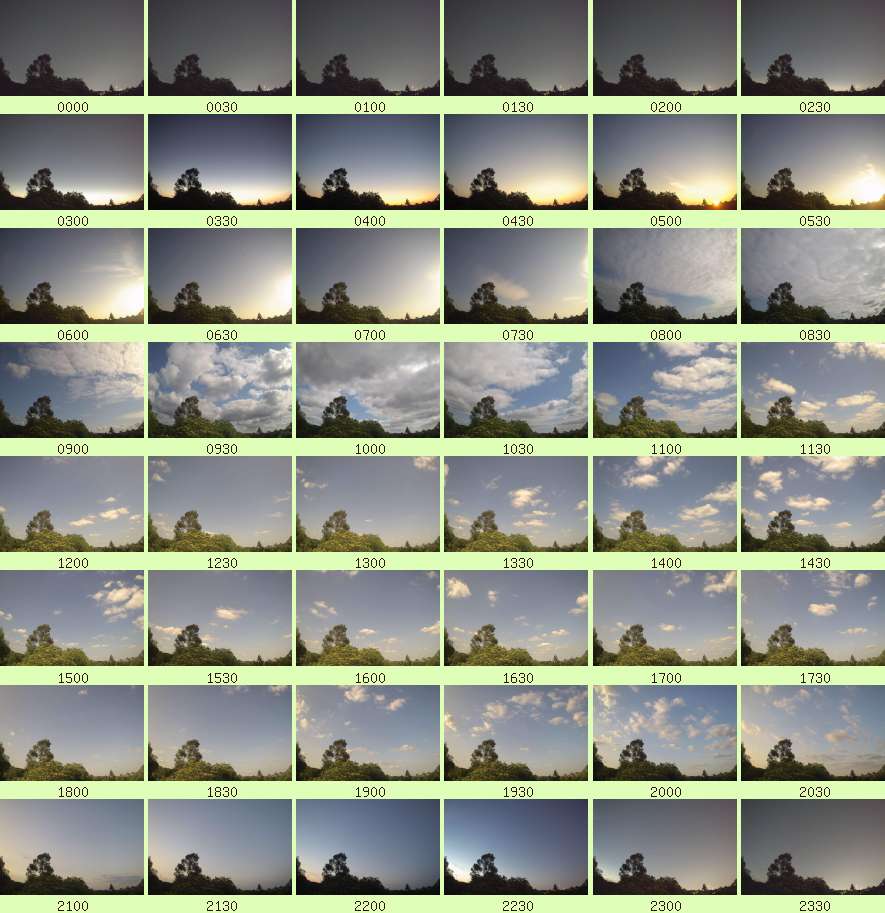 daycamsum