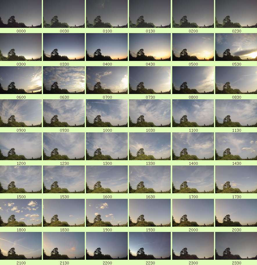 daycamsum