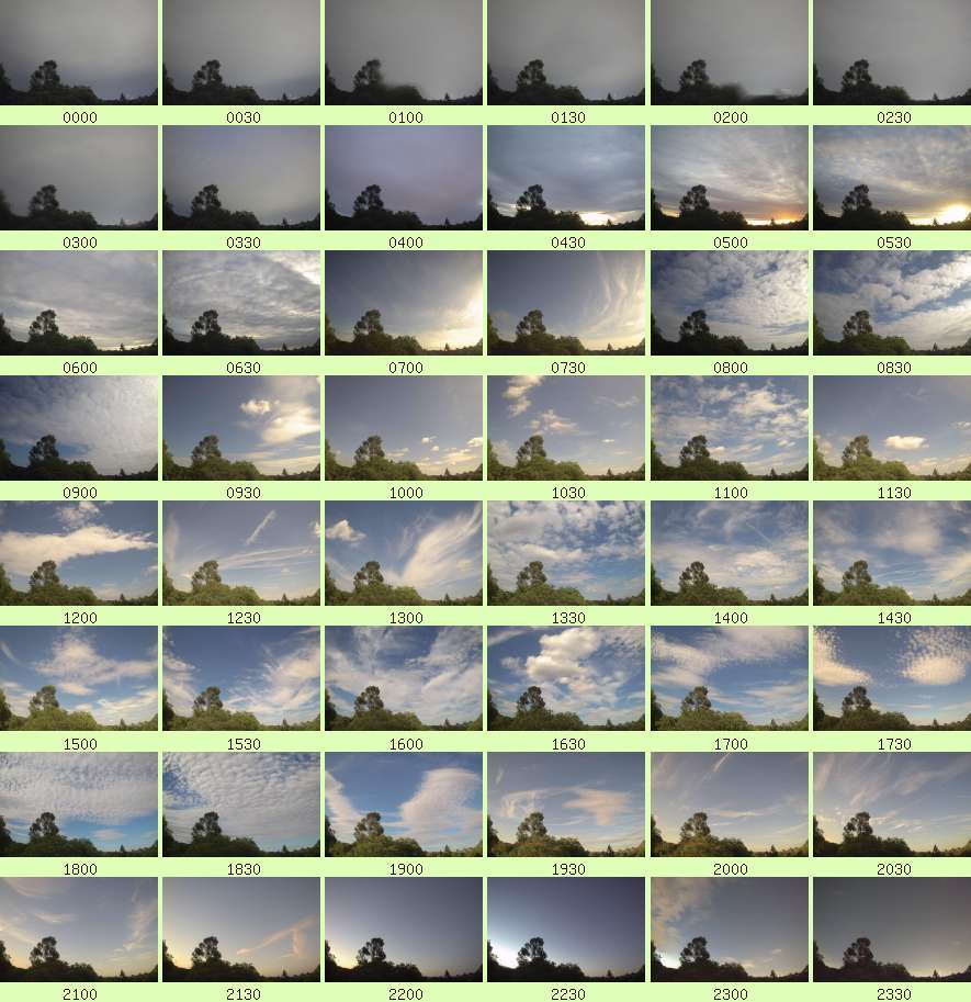 daycamsum