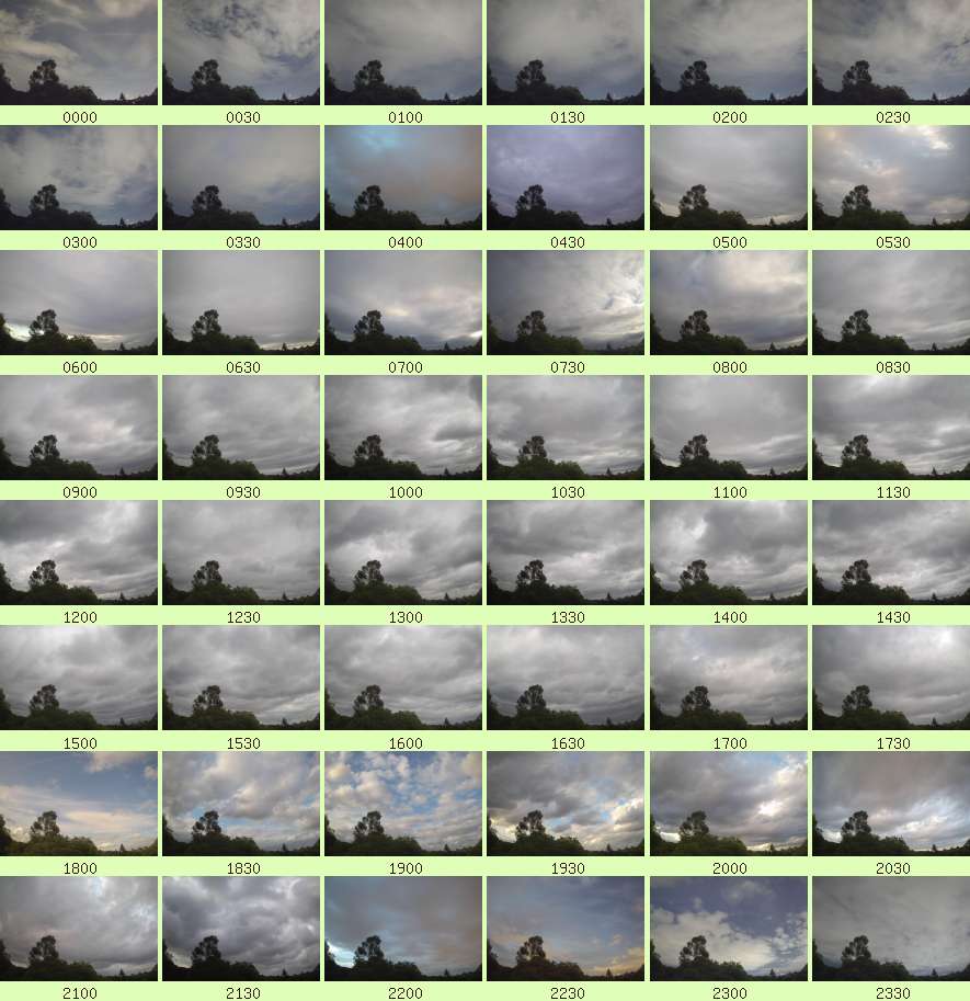 daycamsum
