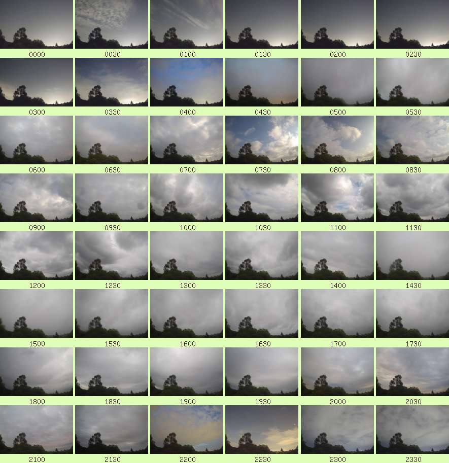 daycamsum