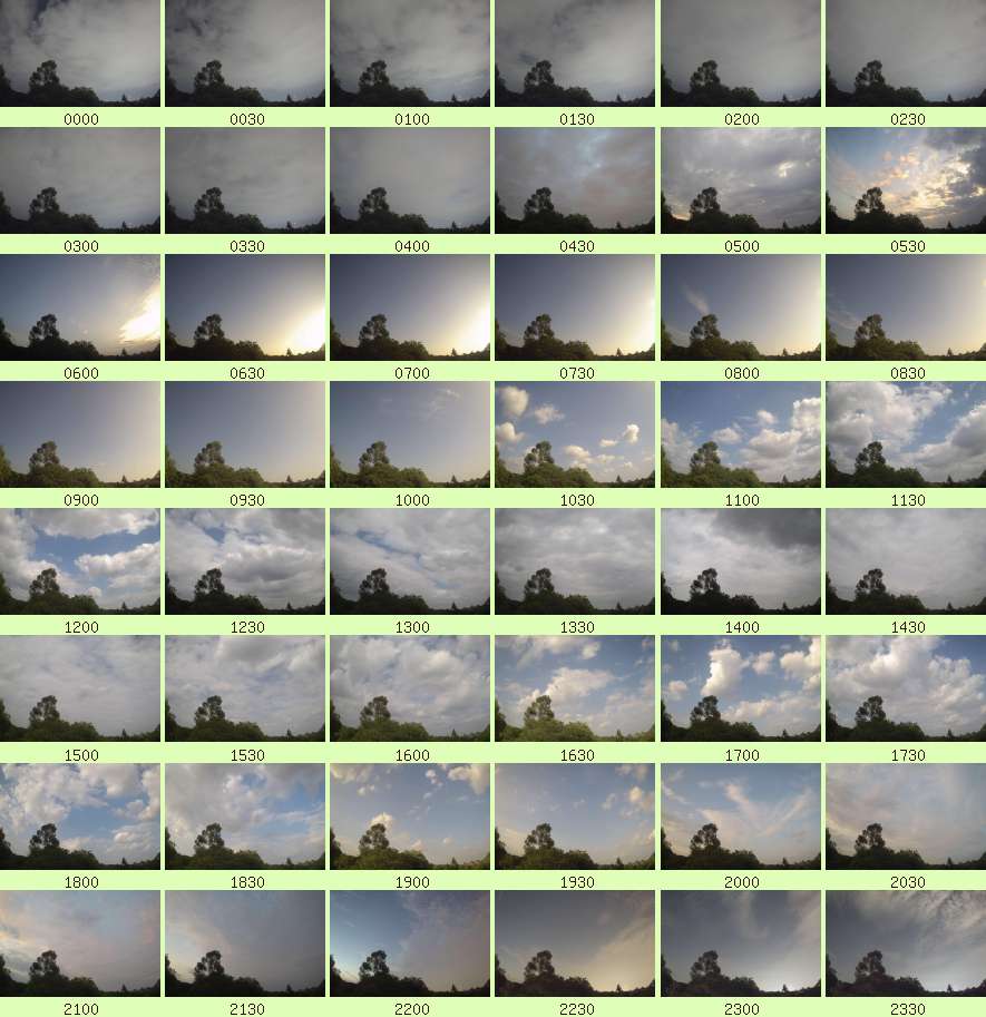 daycamsum