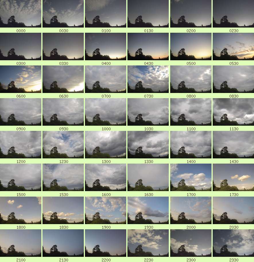 daycamsum
