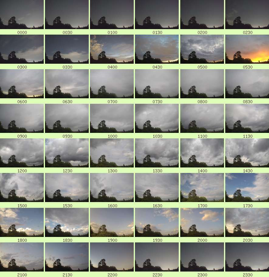 daycamsum