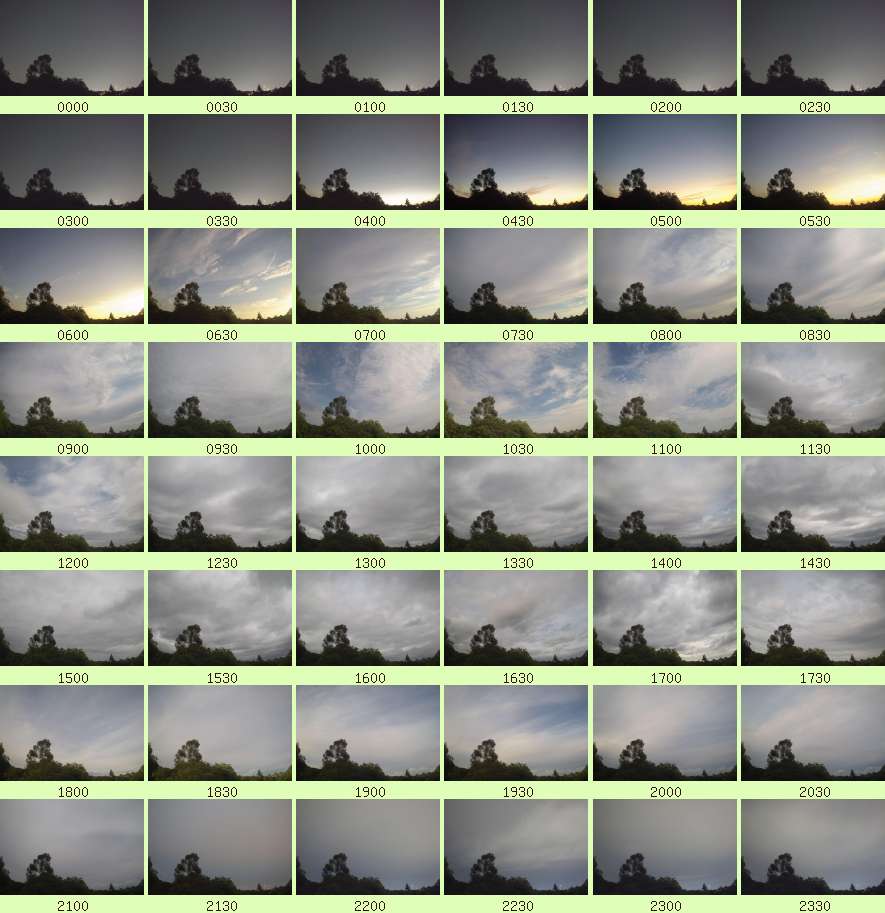 daycamsum