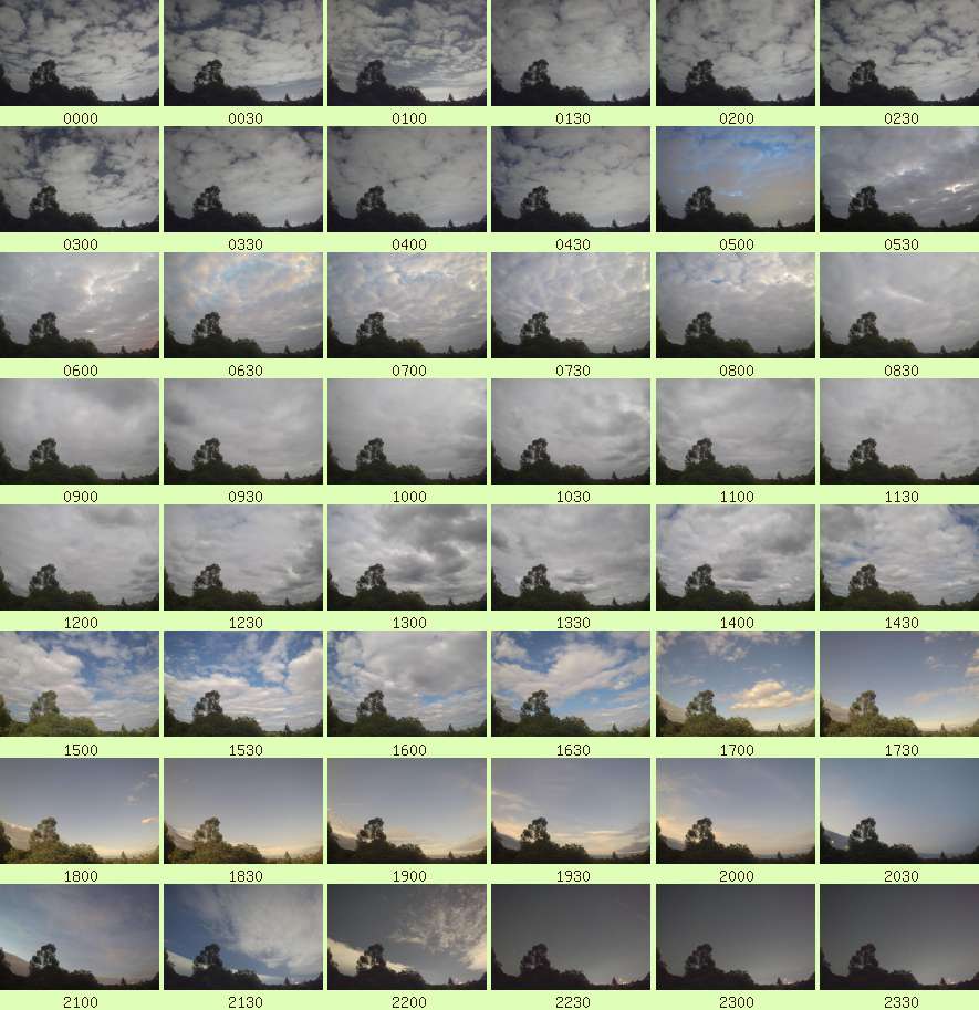 daycamsum
