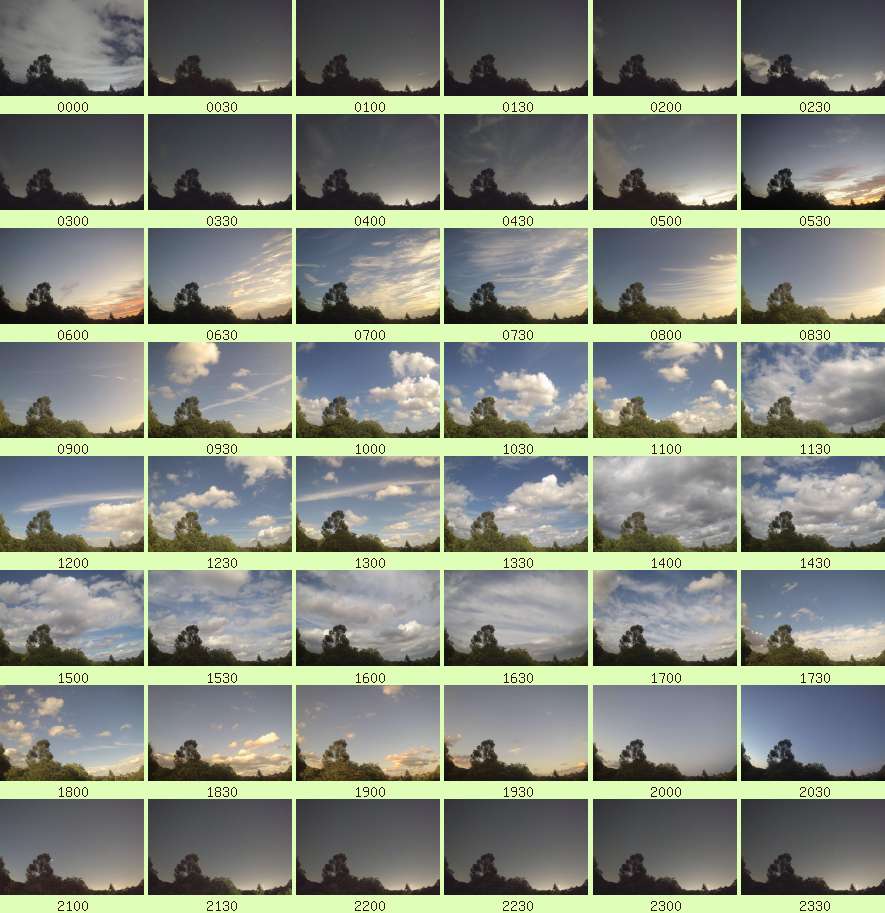 daycamsum