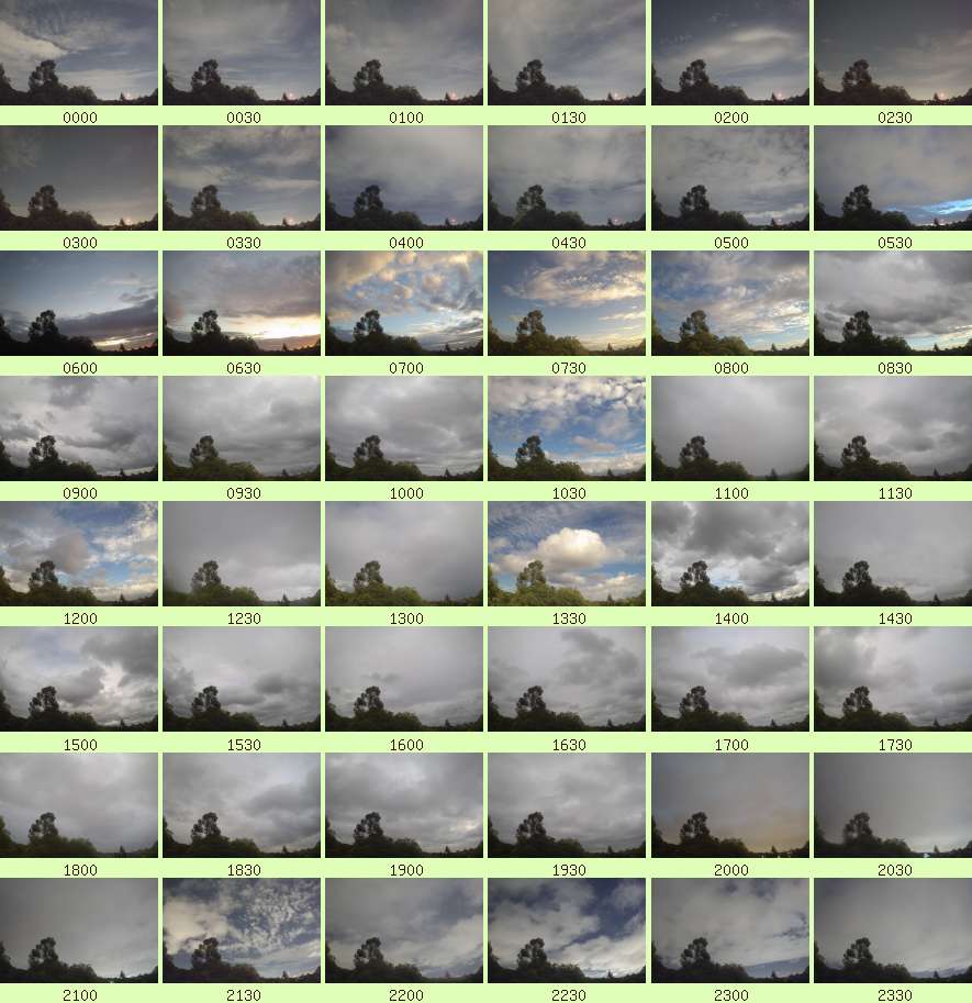 daycamsum