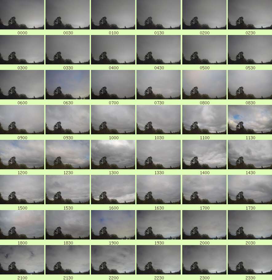 daycamsum
