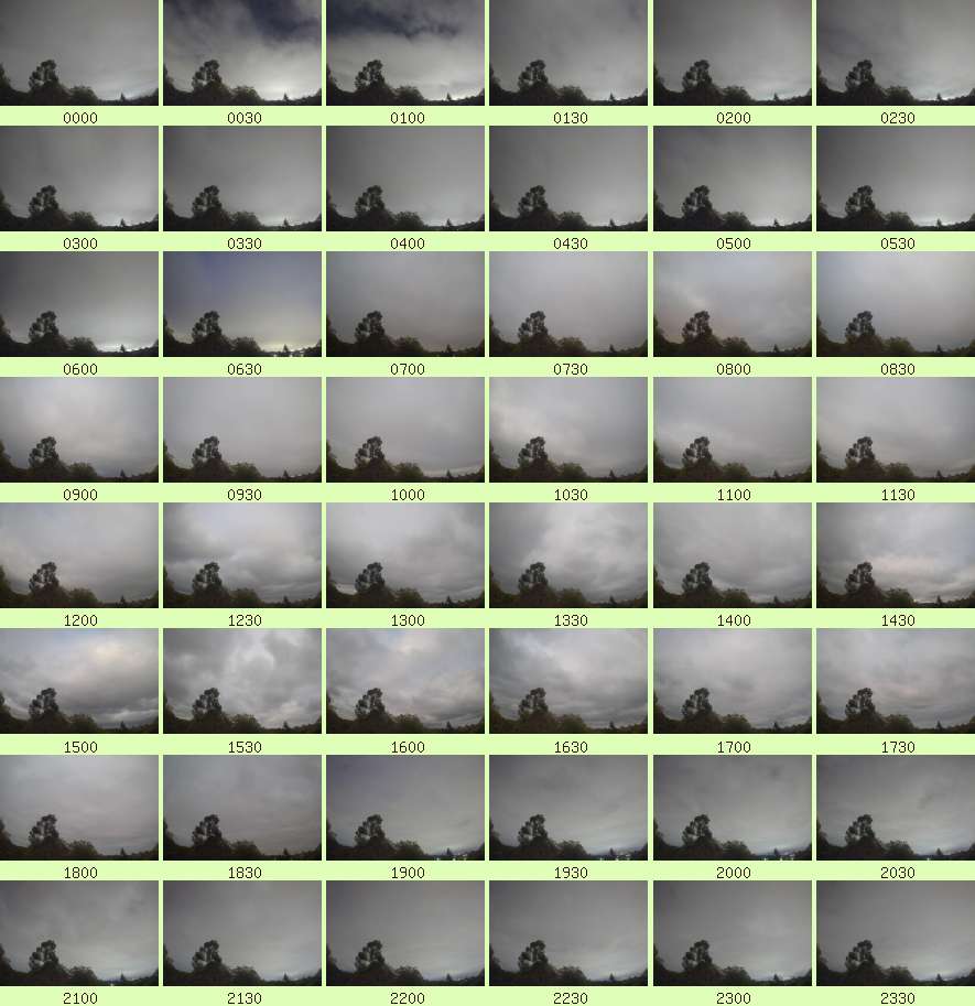 daycamsum