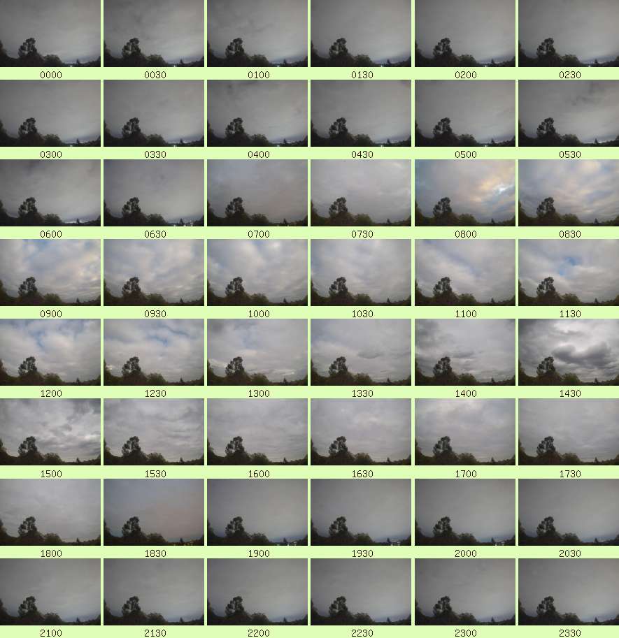 daycamsum
