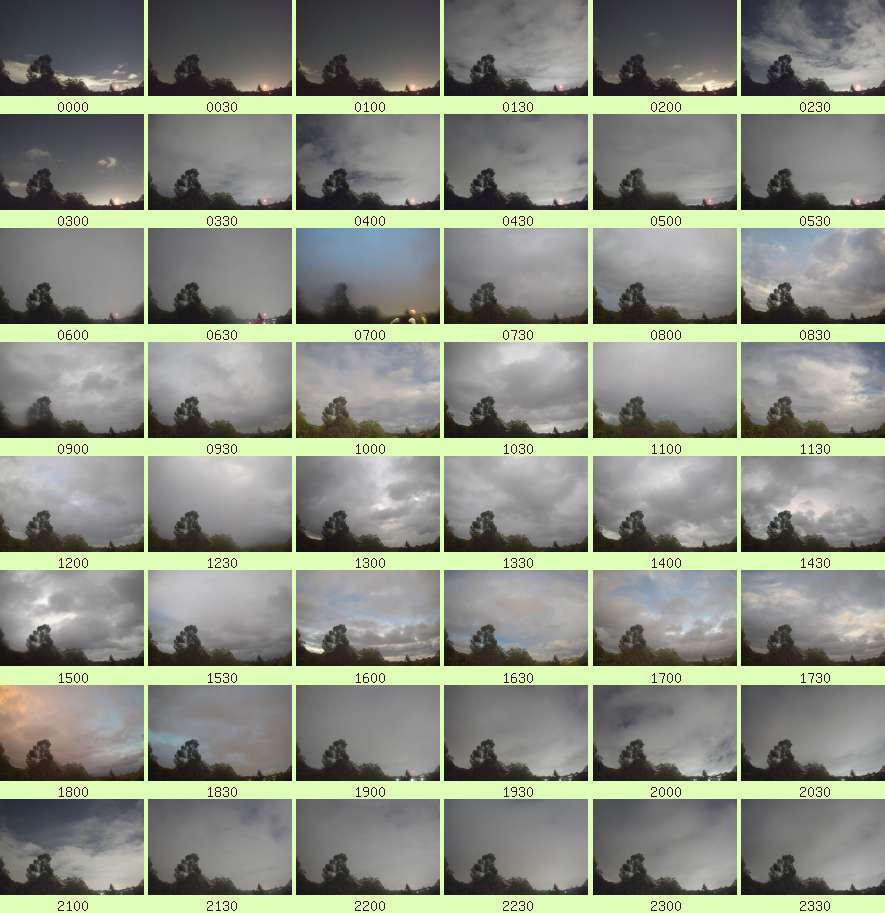 daycamsum