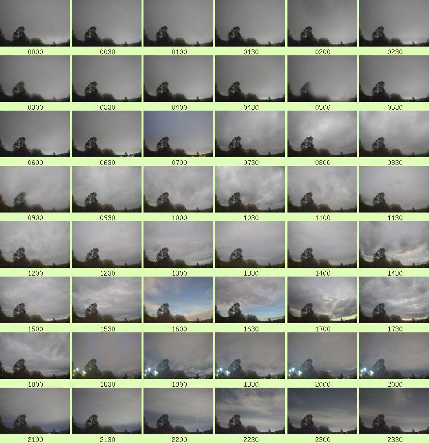 daycamsum