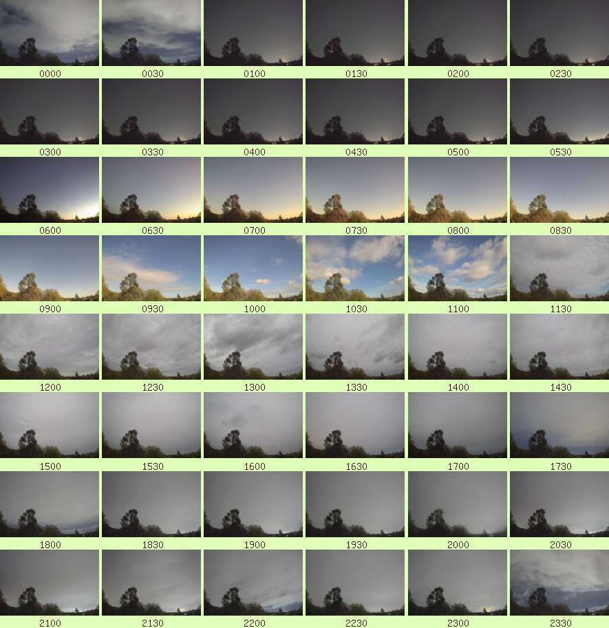 daycamsum