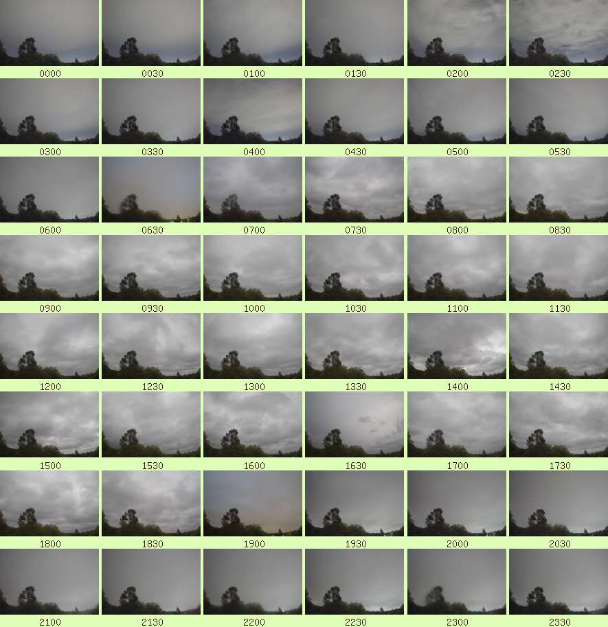 daycamsum