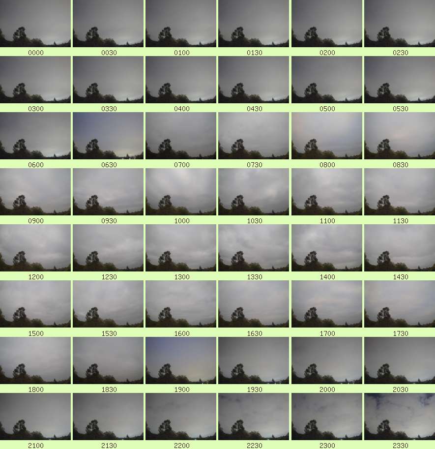 daycamsum
