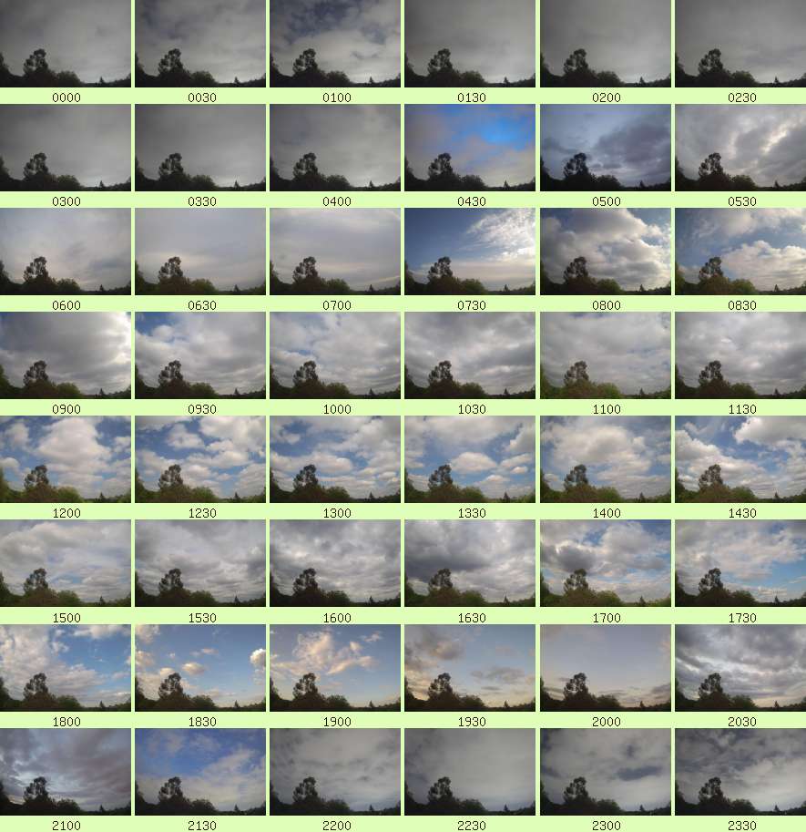 daycamsum