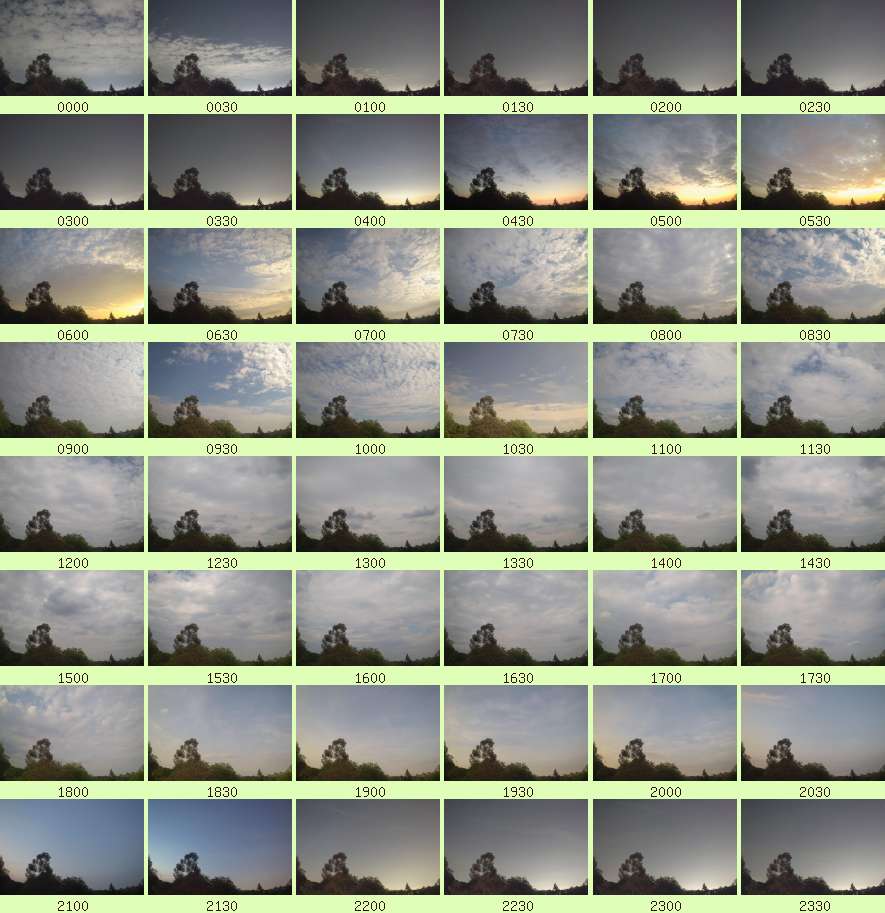 daycamsum