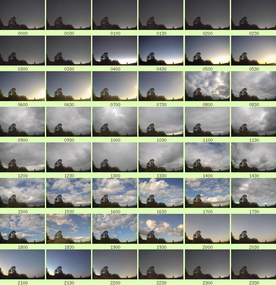daycamsum