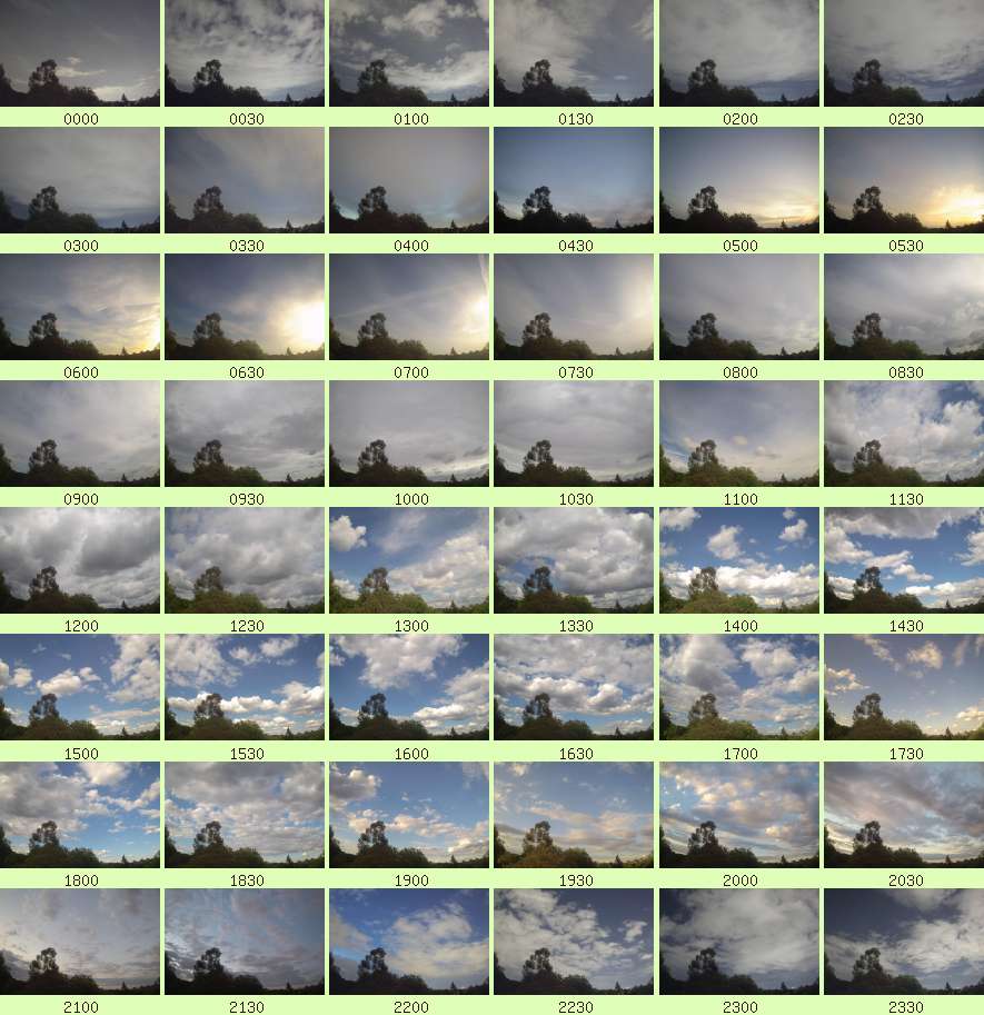 daycamsum