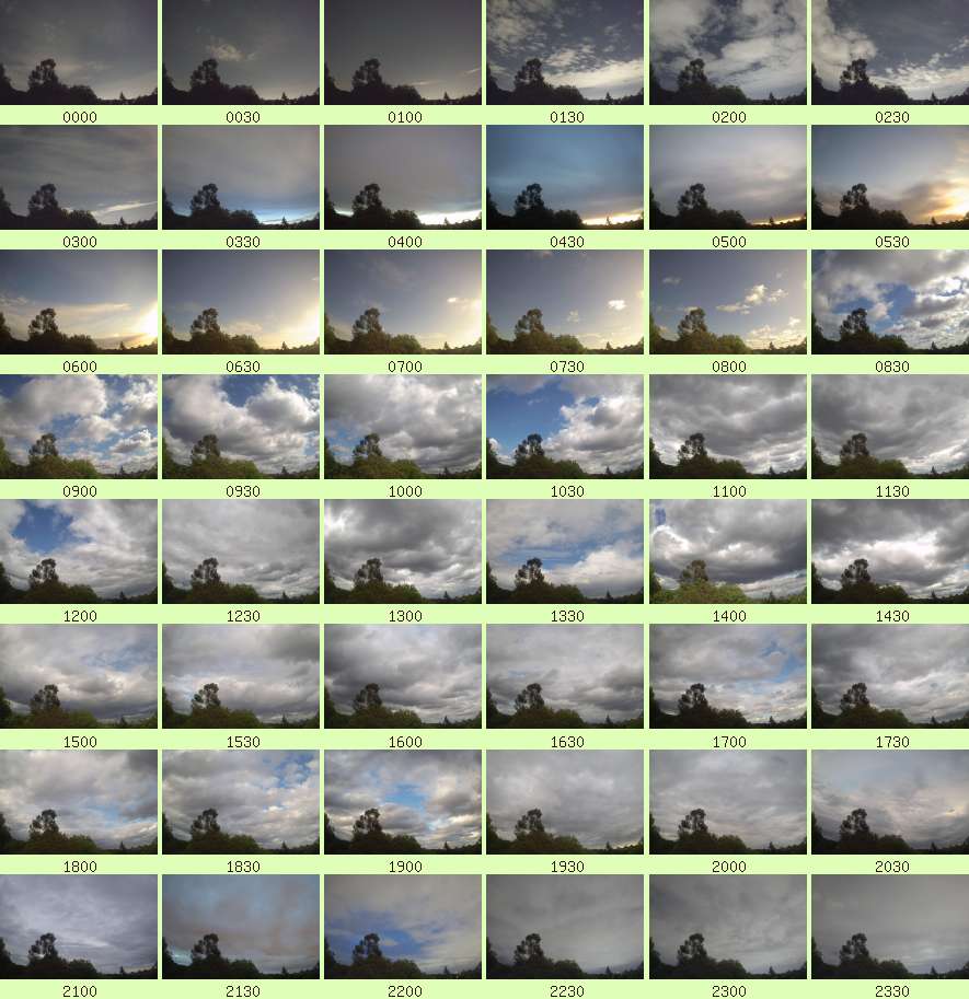 daycamsum