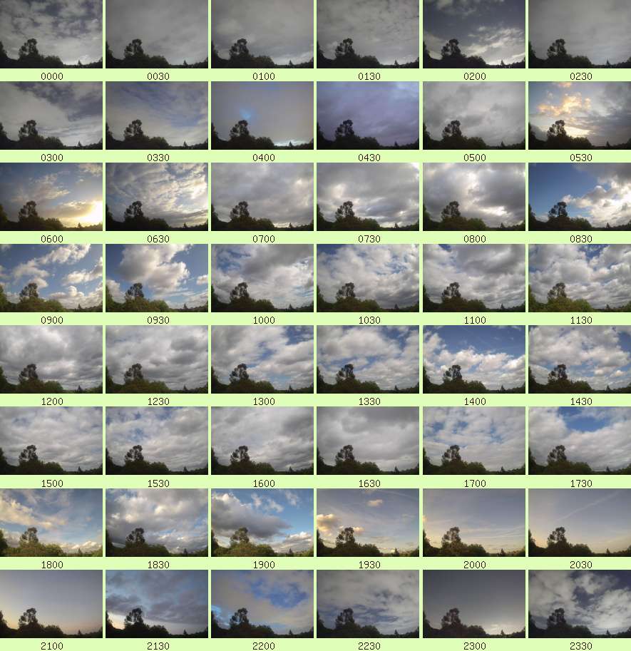 daycamsum