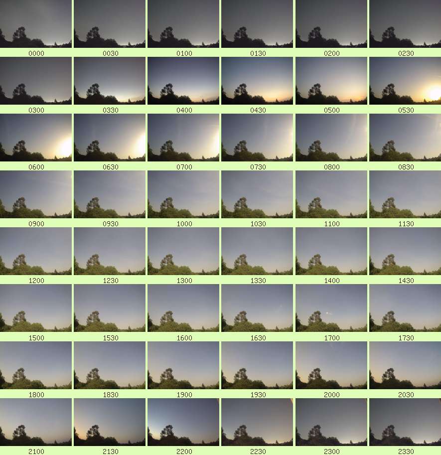 daycamsum