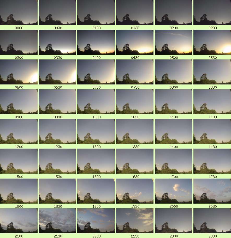 daycamsum