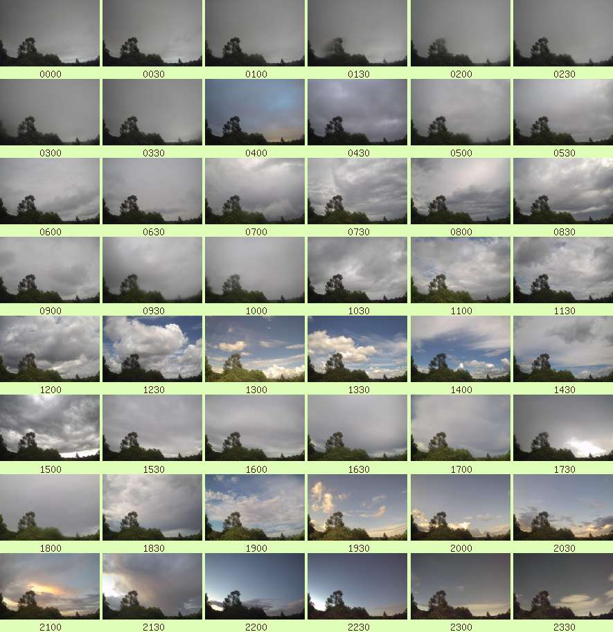 daycamsum