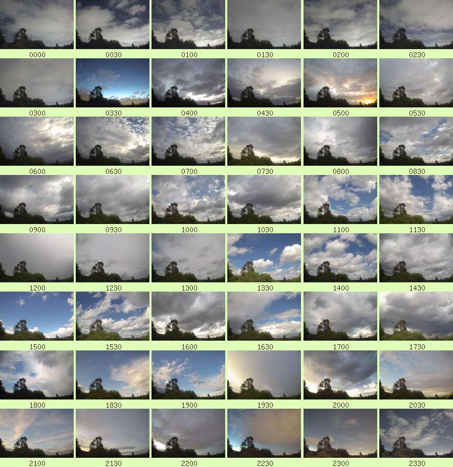 daycamsum