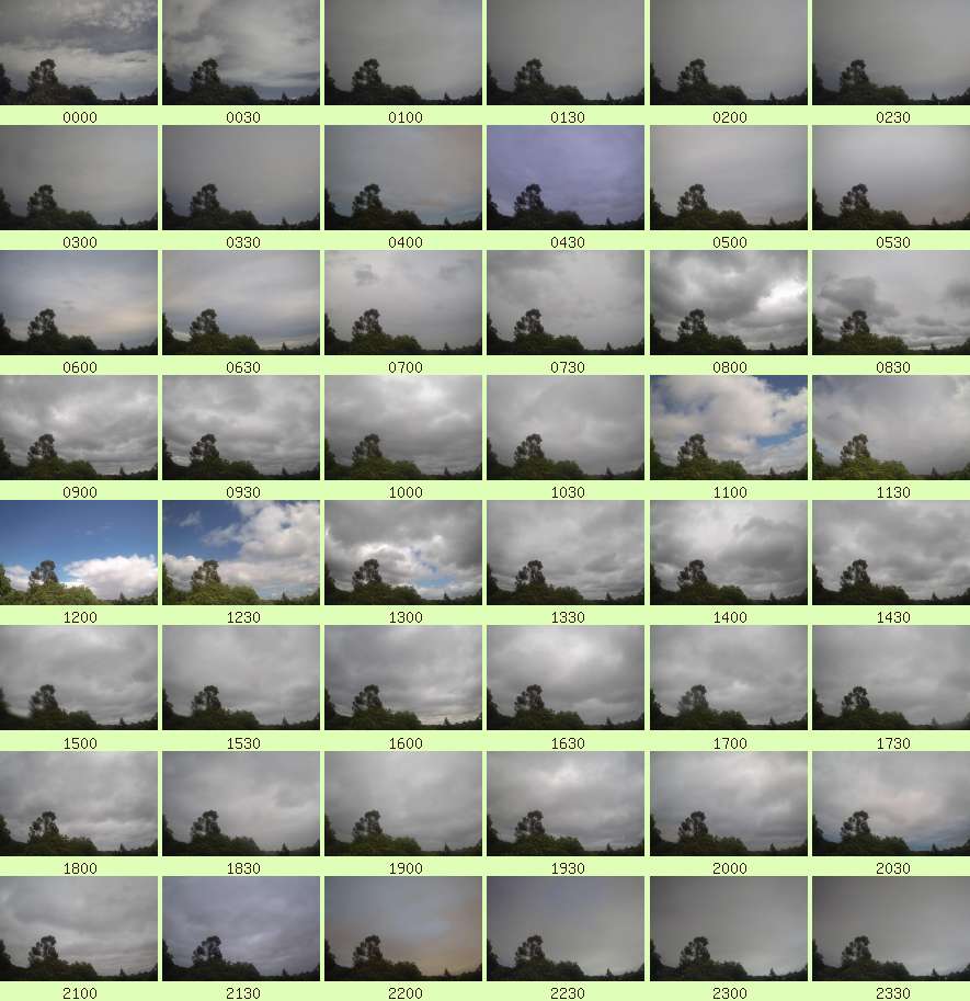 daycamsum