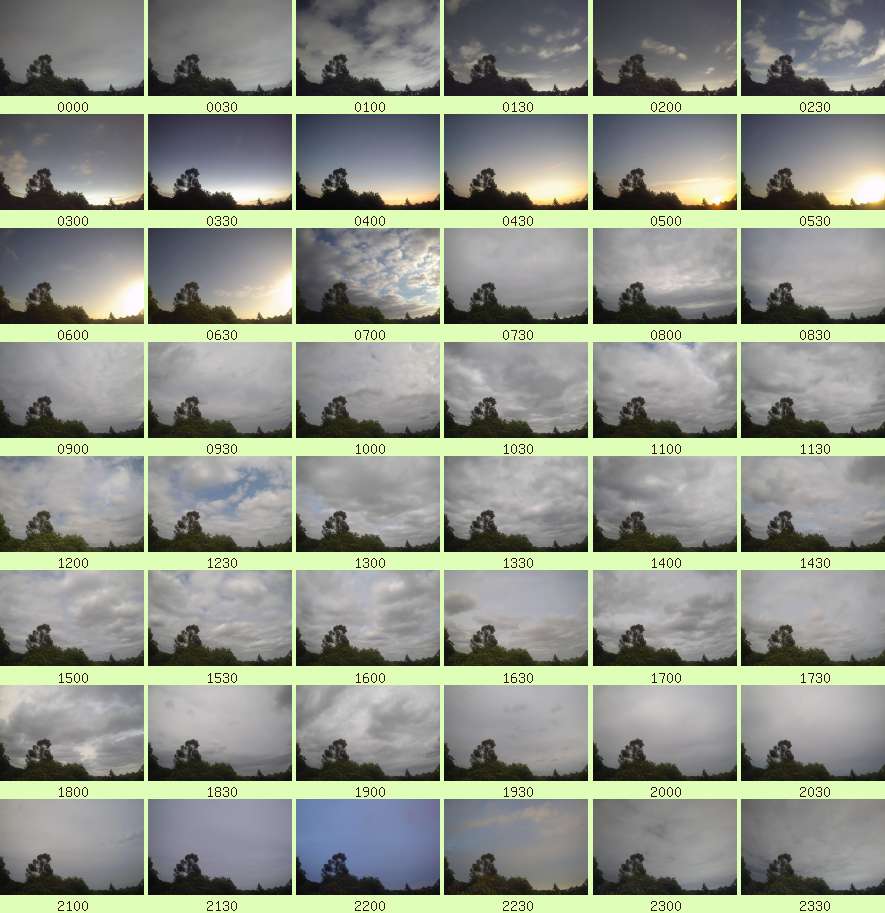daycamsum