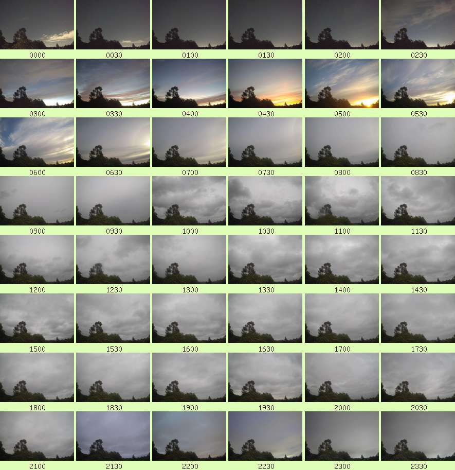daycamsum
