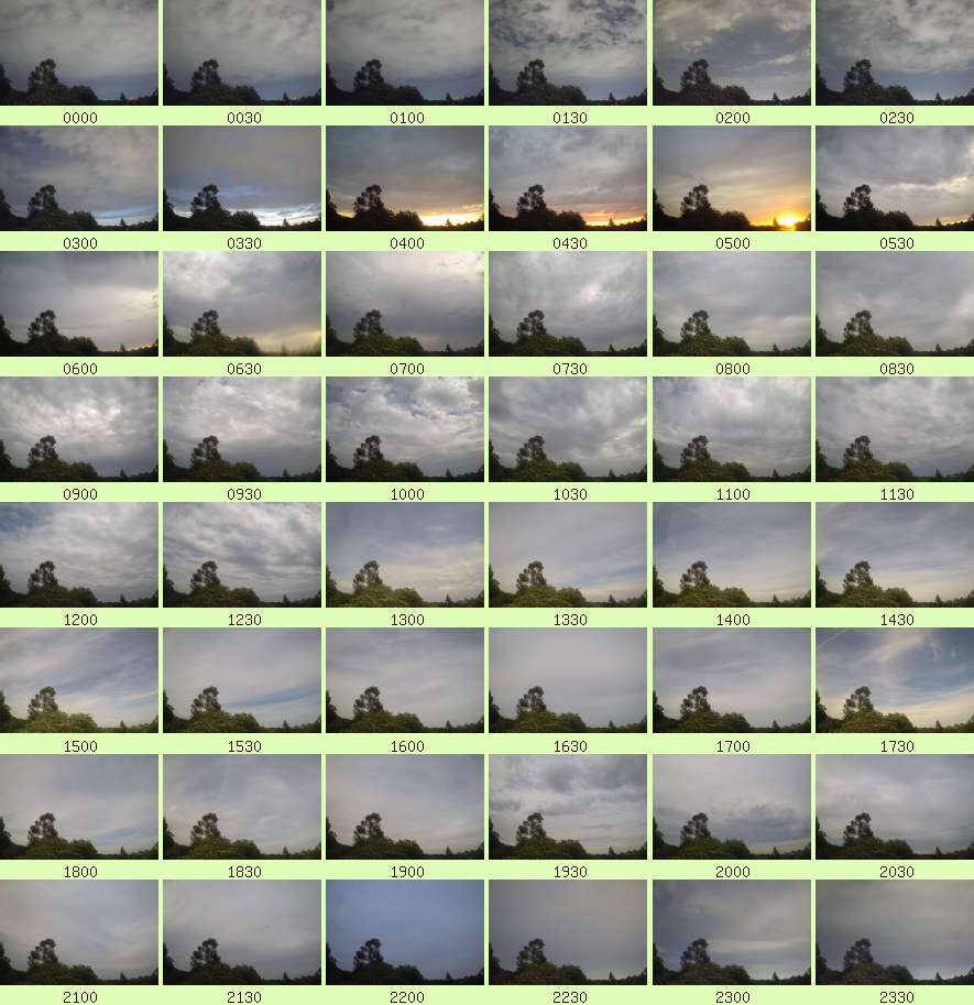 daycamsum